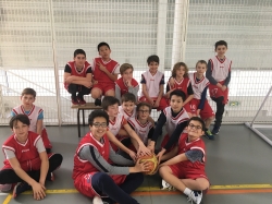 Basket 2019